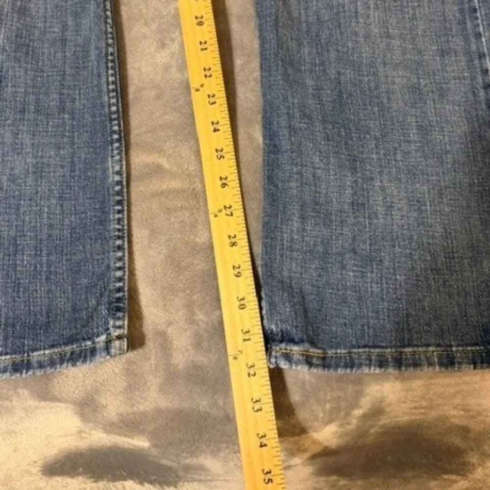 Levis levis 569